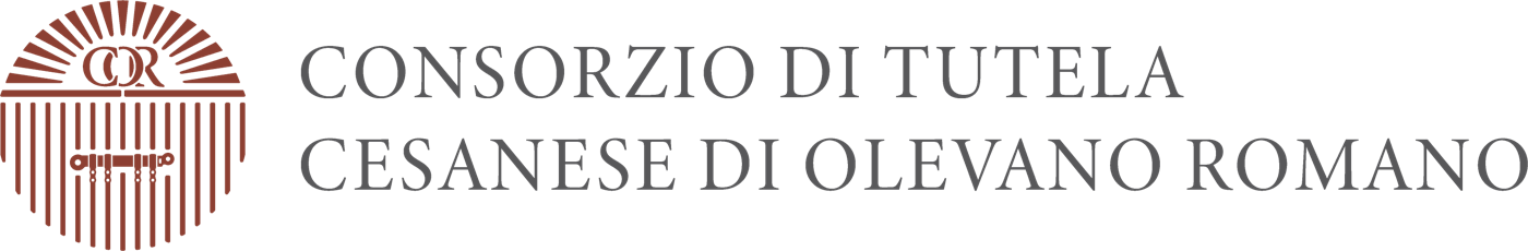 Logo esteso orizzontale del Consorzio
