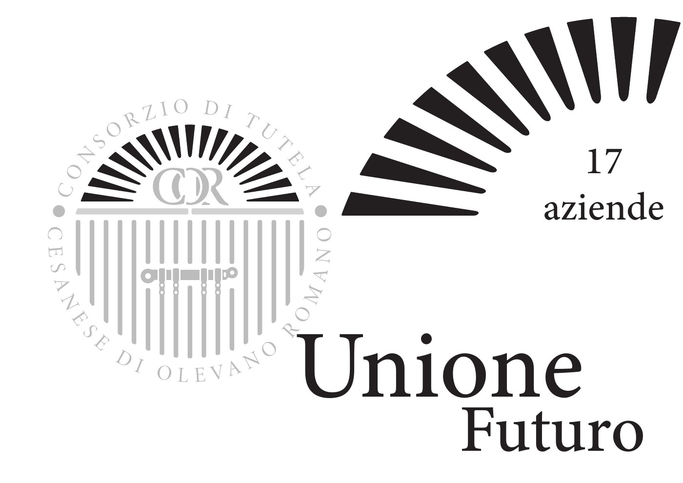Il ventaglio della porta: 17 elementi per le aziende fondatrici, unione e futuro