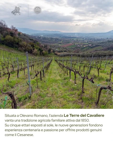 Le Terre del Cavaliere · famiglia Mattei