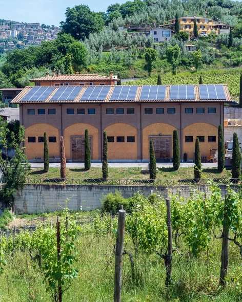Azienda Agricola Proietti