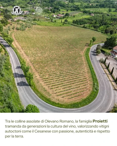 Azienda Agricola Proietti